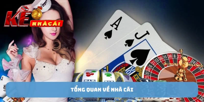 Giới thiệu khái quát về nhà cái C54