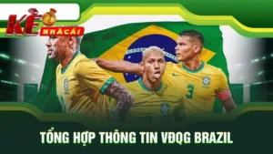 Tổng hợp thông tin VĐQG Brazil